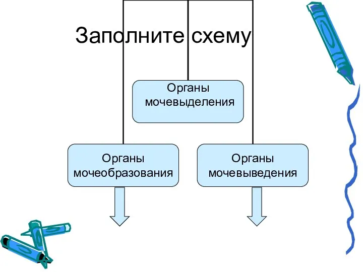 Заполните схему