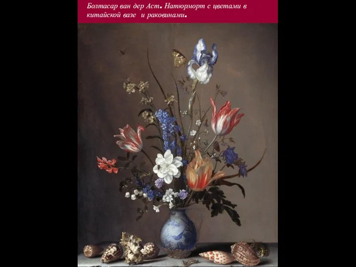 Болтасар ван дер Аст. Натюрморт с цветами в китайской вазе и раковинами.