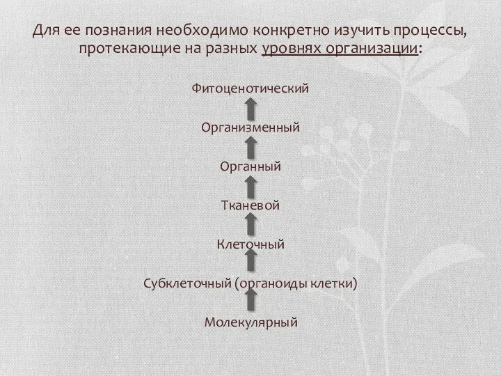 Для ее познания необходимо конкретно изучить процессы, протекающие на разных