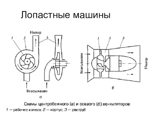 Лопастные машины