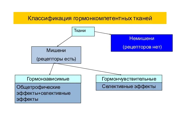Классификация гормонкомпетентных тканей Ткани Мишени (рецепторы есть) Немишени (рецепторов нет)
