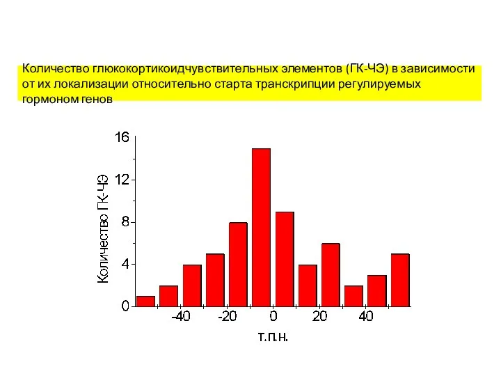Количество глюкокортикоидчувствительных элементов (ГК-ЧЭ) в зависимости от их локализации относительно старта транскрипции регулируемых гормоном генов