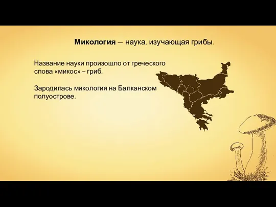 Микология — наука, изучающая грибы. Название науки произошло от греческого