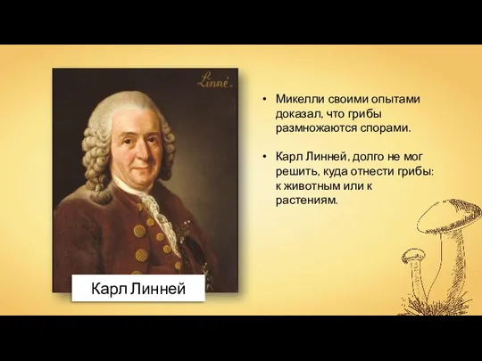 Микелли своими опытами доказал, что грибы размножаются спорами. Карл Линней,