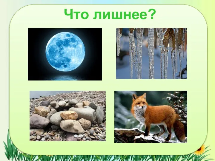 Что лишнее?