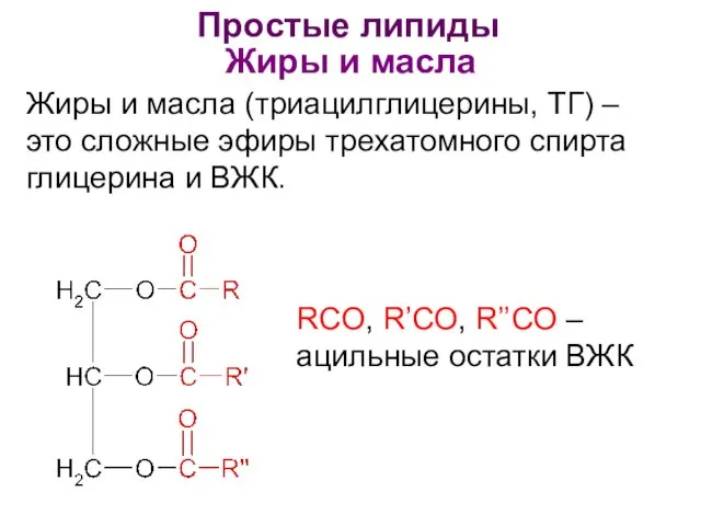 Простые липиды Жиры и масла Жиры и масла (триацилглицерины, ТГ)