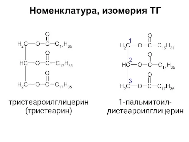 Номенклатура, изомерия ТГ