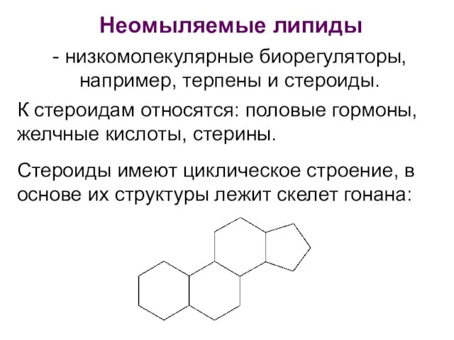 Неомыляемые липиды - низкомолекулярные биорегуляторы, например, терпены и стероиды. Стероиды