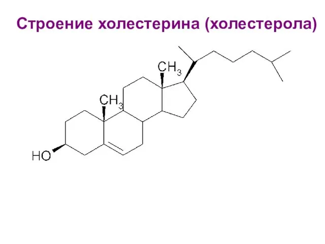 Строение холестерина (холестерола)