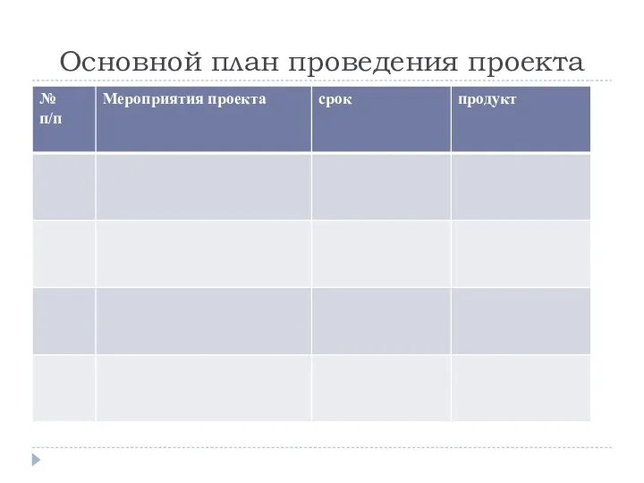 Основной план проведения проекта