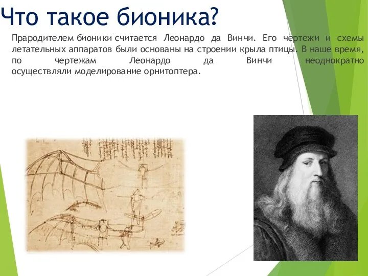 Прародителем бионики считается Леонардо да Винчи. Его чертежи и схемы летательных аппаратов были