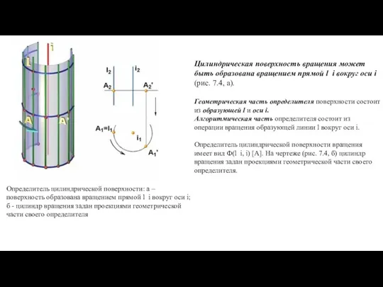 Цилиндрическая поверхность вращения может быть образована вращением прямой l i