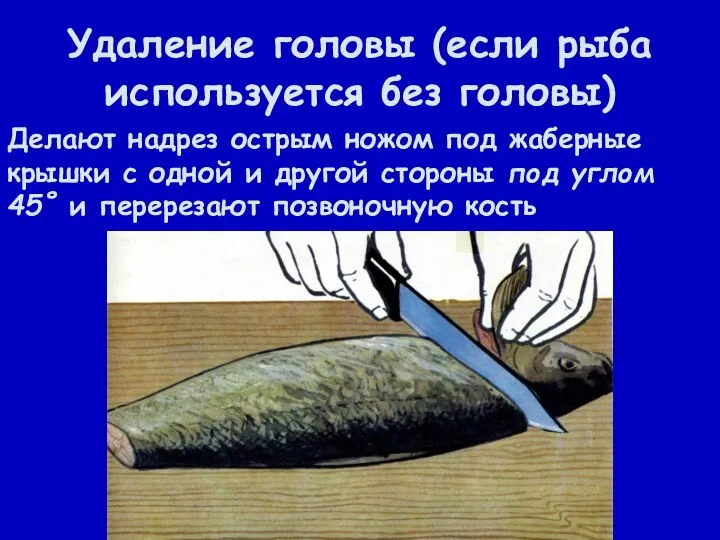 Удаление головы (если рыба используется без головы) Делают надрез острым