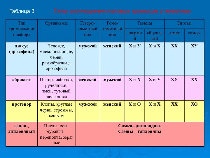 Таблица 3 Типы соотношения половых хромосом у животных