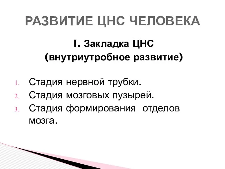 I. Закладка ЦНС (внутриутробное развитие) Стадия нервной трубки. Стадия мозговых