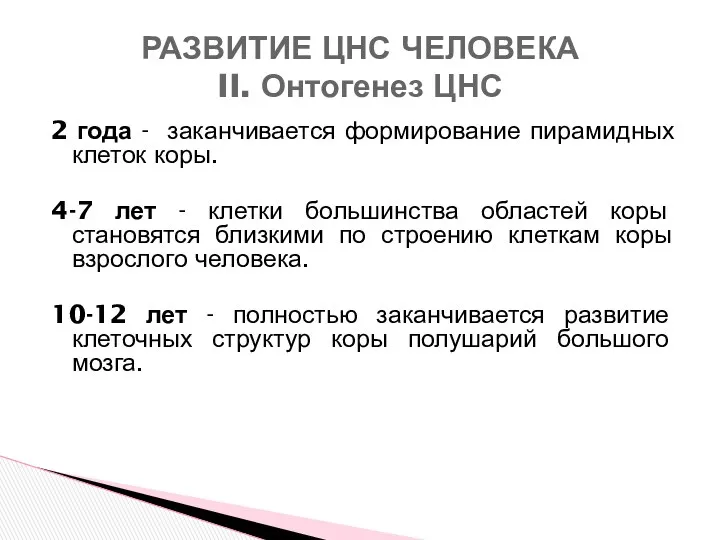 2 года - заканчивается формирование пирамидных клеток коры. 4-7 лет