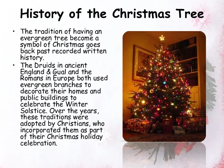 History of the Christmas Tree The tradition of having an evergreen tree become