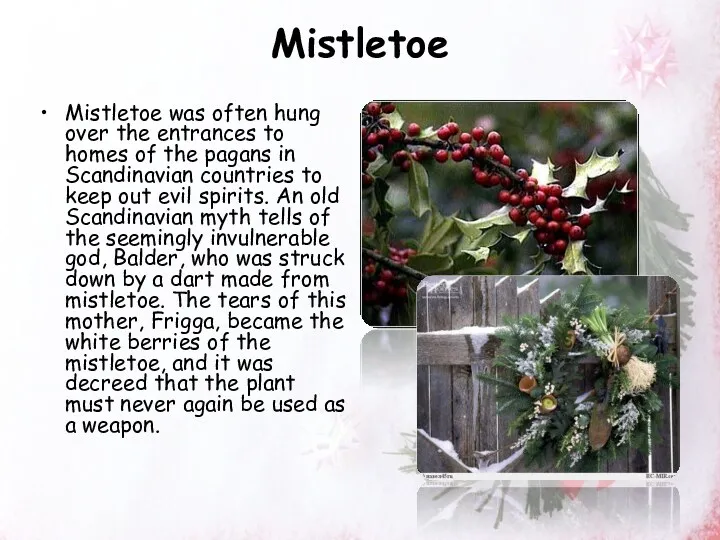 Mistletoe Mistletoe was often hung over the entrances to homes of the pagans