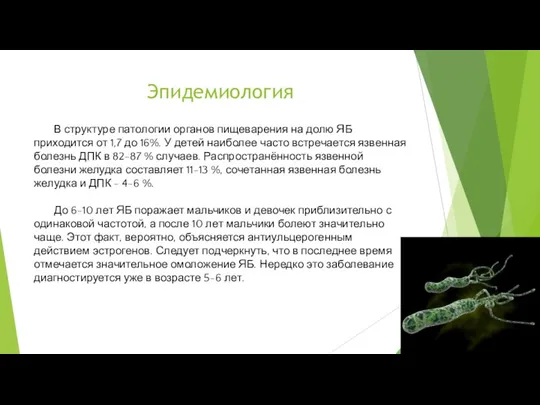 Эпидемиология В структуре патологии органов пищеварения на долю ЯБ приходится