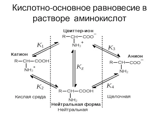 Кислотно-основное равновесие в растворе аминокислот