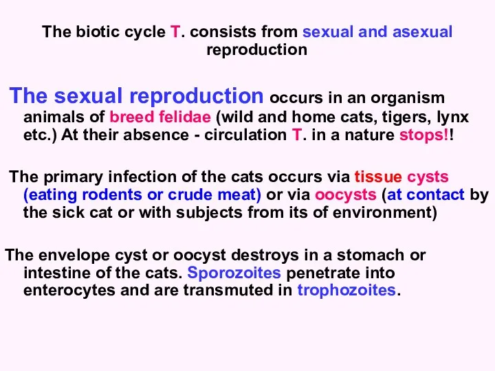 The biotic cycle Т. consists from sexual and asexual reproduction