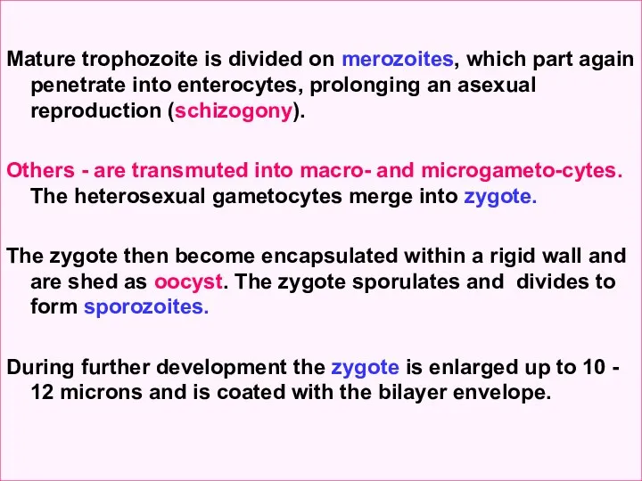 Mature trophozoite is divided on merozoites, which part again penetrate