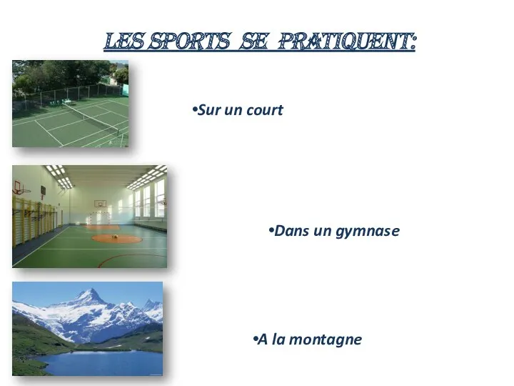 Les sports se pratiquent: Sur un court Dans un gymnase A la montagne