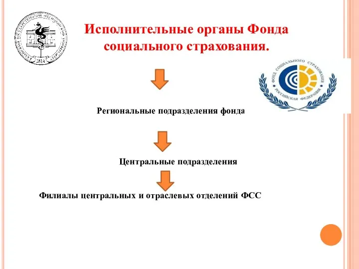 Исполнительные органы Фонда социального страхования. Региональные подразделения фонда Центральные подразделения Филиалы центральных и отраслевых отделений ФСС