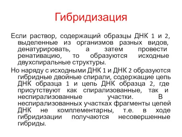 Гибридизация Если раствор, содержащий образцы ДНК 1 и 2, выделенные