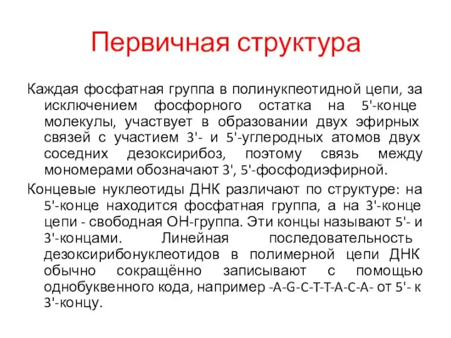 Первичная структура Каждая фосфатная группа в полинукпеотидной цепи, за исключением