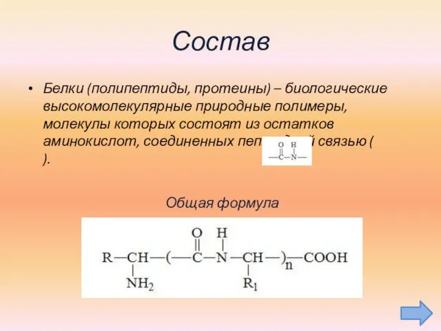 Состав Белки (полипептиды, протеины) – биологические высокомолекулярные природные полимеры, молекулы которых состоят из