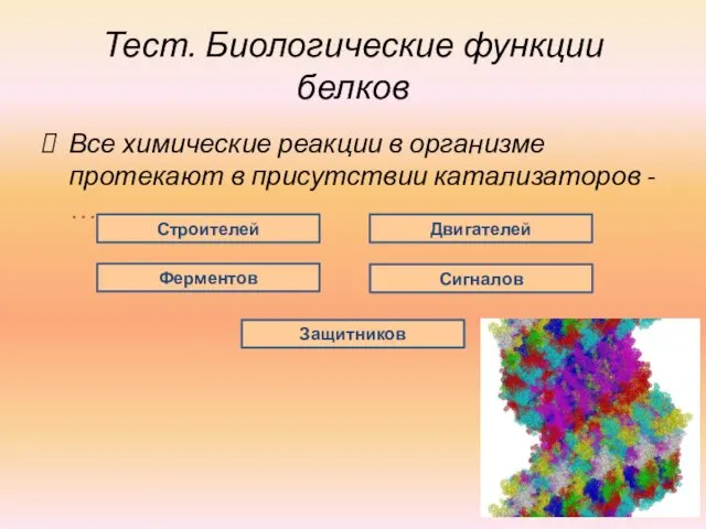 Тест. Биологические функции белков Все химические реакции в организме протекают в присутствии катализаторов