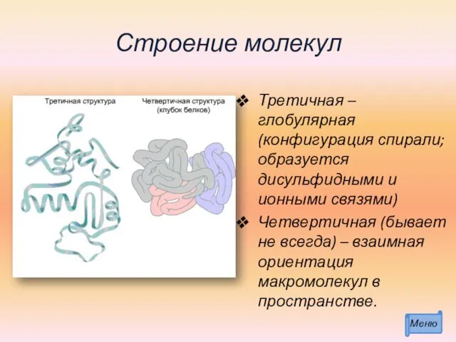 Строение молекул Третичная – глобулярная (конфигурация спирали; образуется дисульфидными и