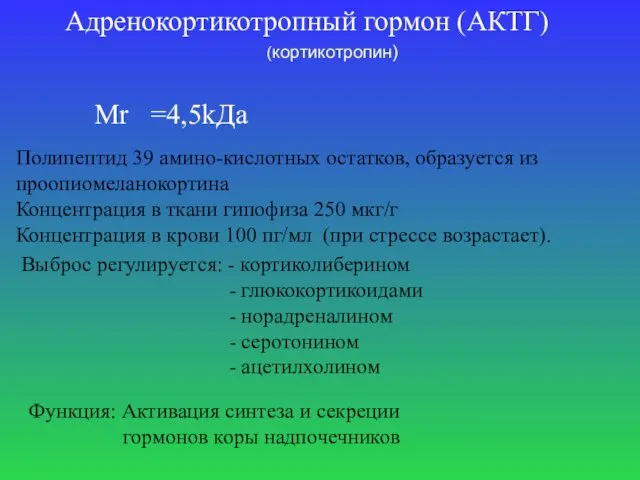 Адренокортикотропный гормон (АКТГ) Mr =4,5kДа Полипептид 39 амино-кислотных остатков, образуется