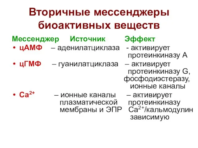 Вторичные мессенджеры биоактивных веществ Мессенджер Источник Эффект цАМФ – аденилатциклаза