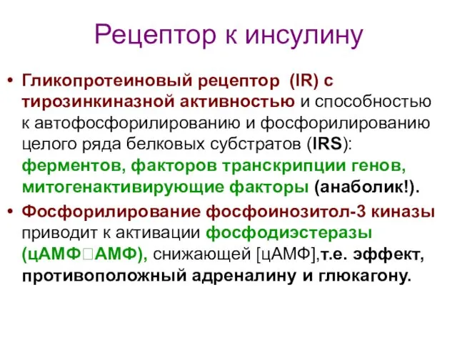 Рецептор к инсулину Гликопротеиновый рецептор (IR) с тирозинкиназной активностью и