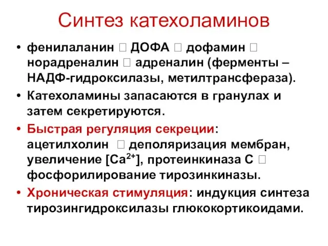 Синтез катехоламинов фенилаланин ? ДОФА ? дофамин ? норадреналин ?