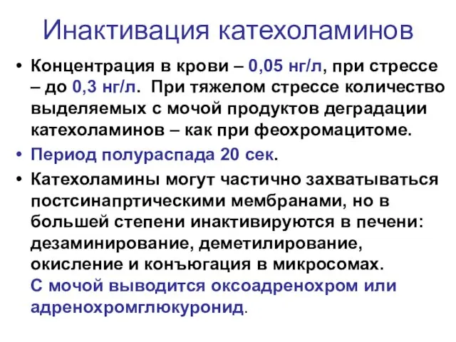 Инактивация катехоламинов Концентрация в крови – 0,05 нг/л, при стрессе