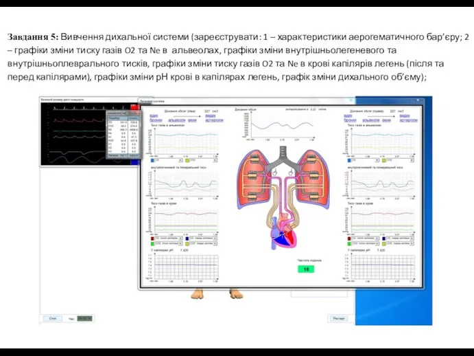 Завдання 5: Вивчення дихальної системи (зареєструвати: 1 – характеристики аерогематичного