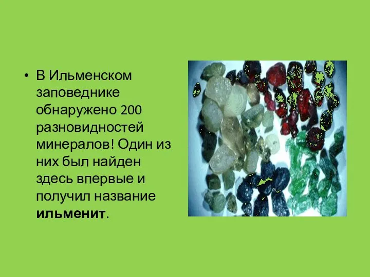 В Ильменском заповеднике обнаружено 200 разновидностей минералов! Один из них