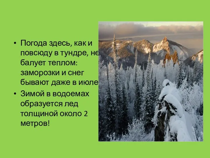 Погода здесь, как и повсюду в тундре, не балует теплом: