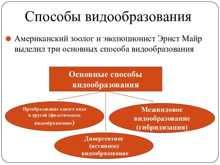 Способы видообразования Американский зоолог и эволюционист Эрнст Майр выделил три