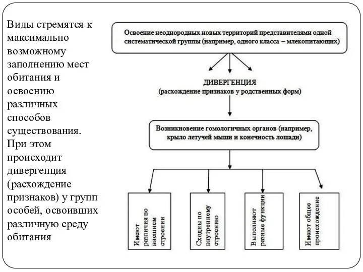 Виды стремятся к максимально возможному заполнению мест обитания и освоению