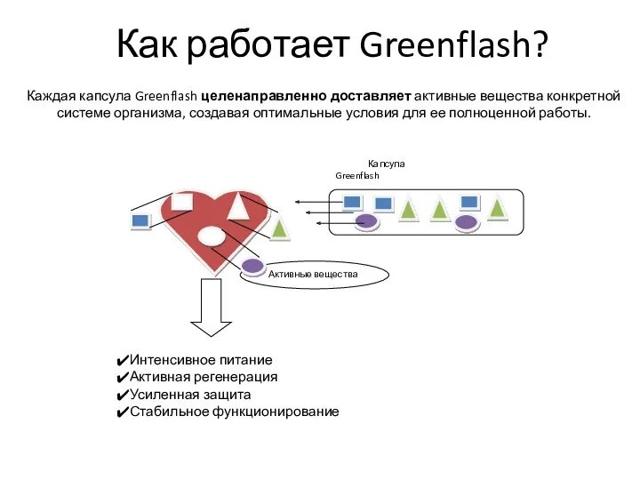 Каждая капсула Greenflash целенаправленно доставляет активные вещества конкретной системе организма,