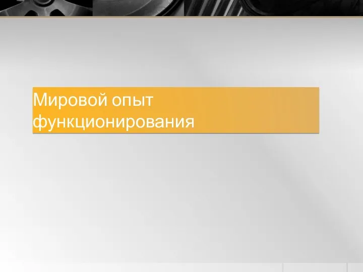 Мировой опыт функционирования