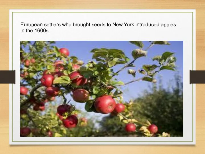 European settlers who brought seeds to New York introduced apples in the 1600s.