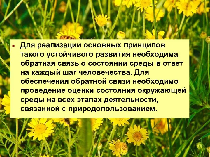 Для реализации основных принципов такого устойчивого развития необходима обратная связь