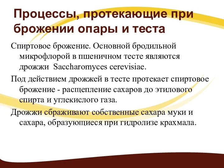 Процессы, протекающие при брожении опары и теста Спиртовое брожение. Основной