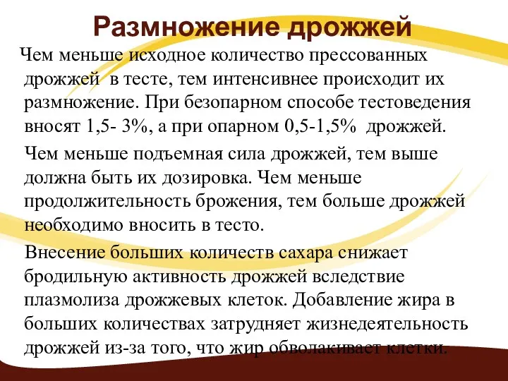 Размножение дрожжей Чем меньше исходное количество прессованных дрожжей в тесте,