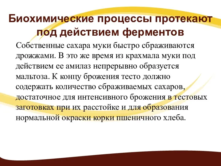 Биохимические процессы протекают под действием ферментов Собственные сахара муки быстро